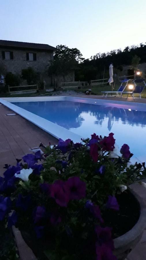 Agriturismo Vista Sole Villa Mercatale  Eksteriør billede
