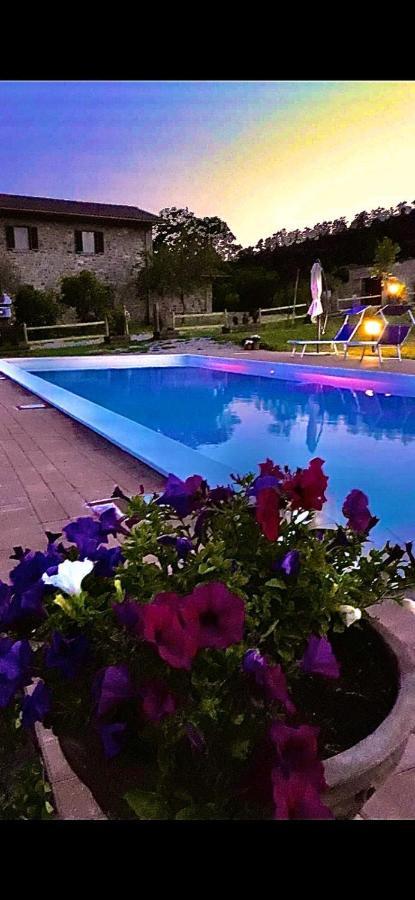 Agriturismo Vista Sole Villa Mercatale  Eksteriør billede