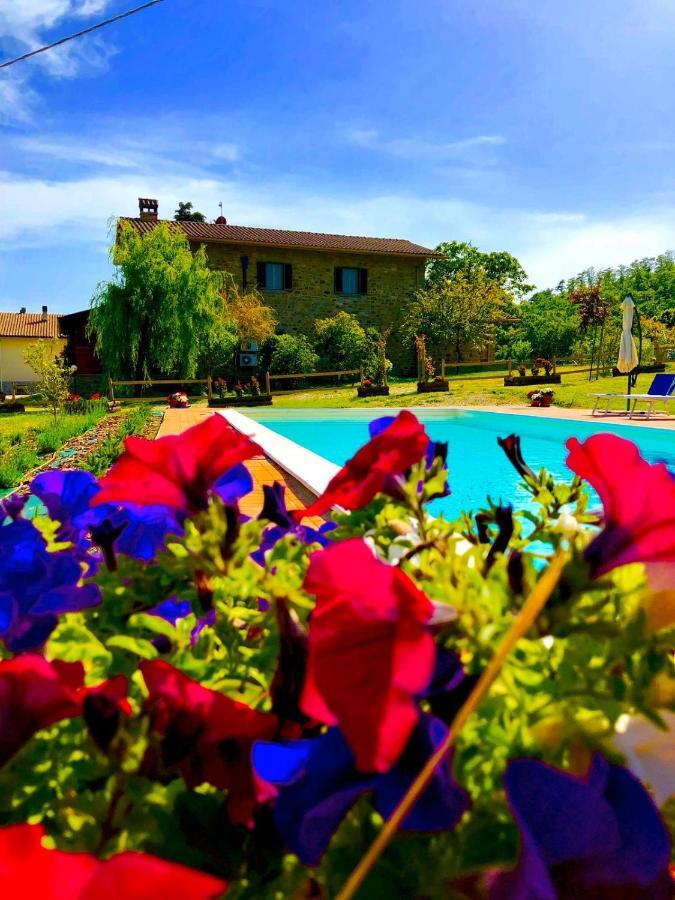 Agriturismo Vista Sole Villa Mercatale  Eksteriør billede